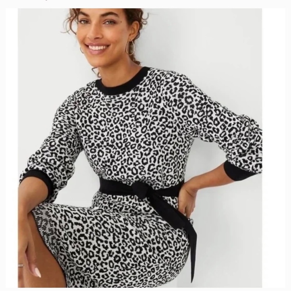 Ann Taylor black and white leopard long sleeve belted sweater dress size XS